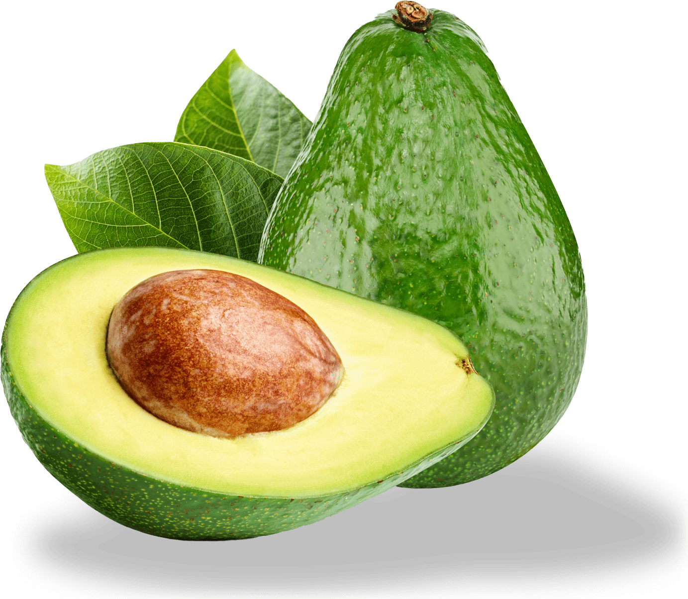 Avocado2