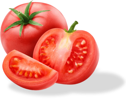 Tomato