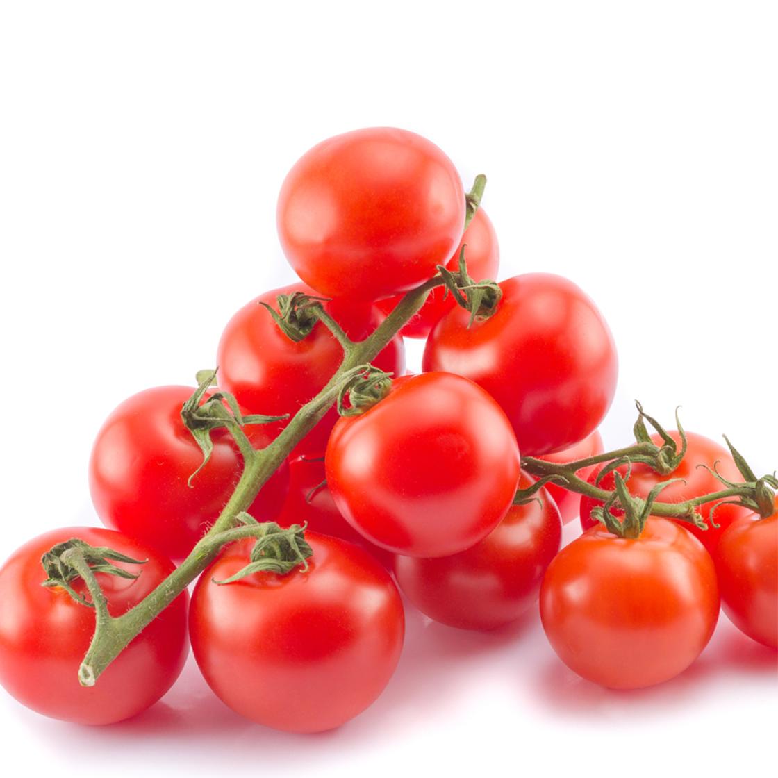 Tomat 900x900
