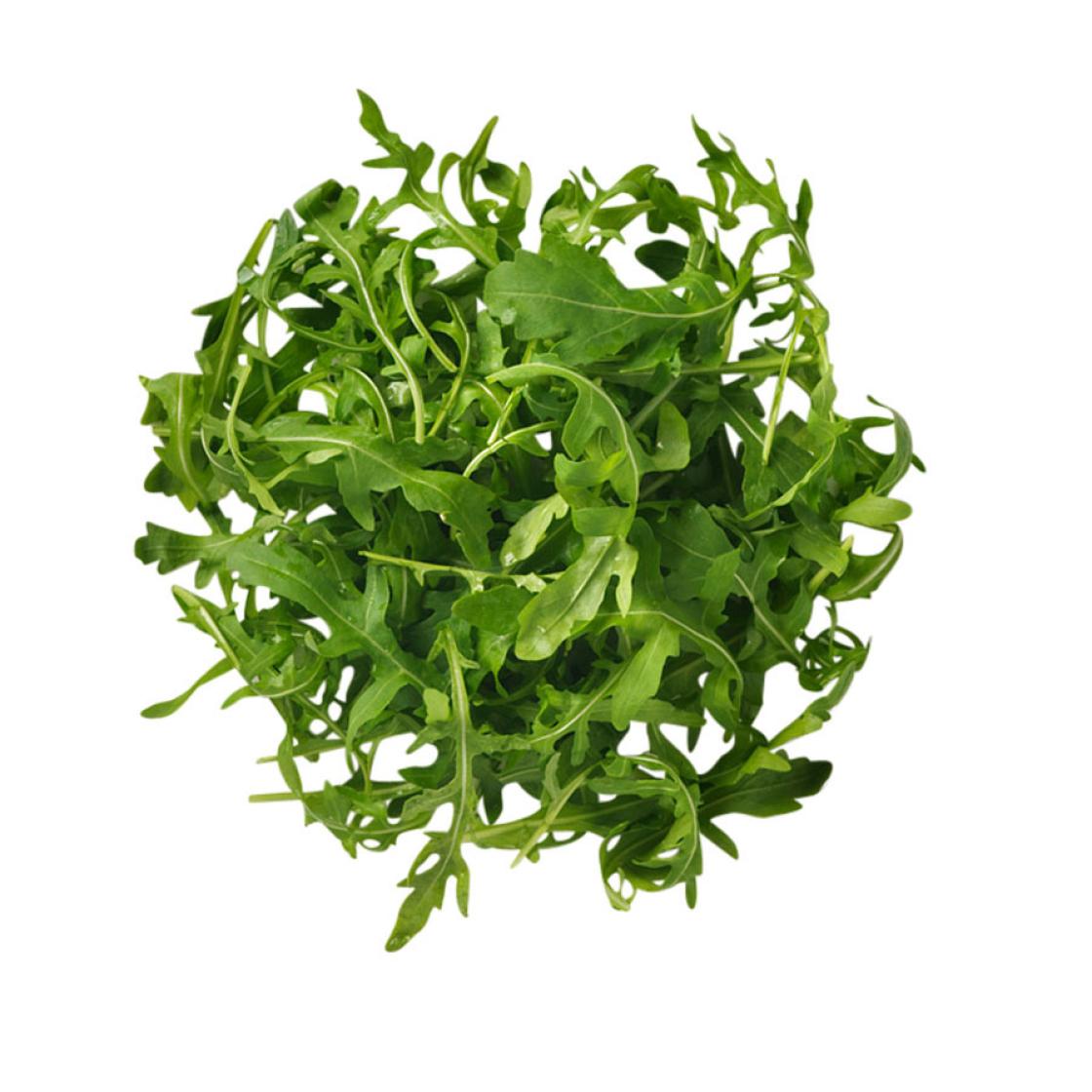 2401 CC FS Bladgrönt 900x900px 103799 Rucola hela blad