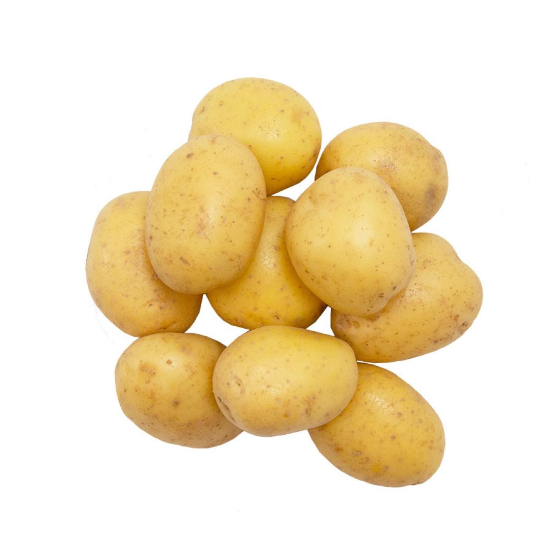2401 Förkokt 900x900px 901007 FK Potatis borstad