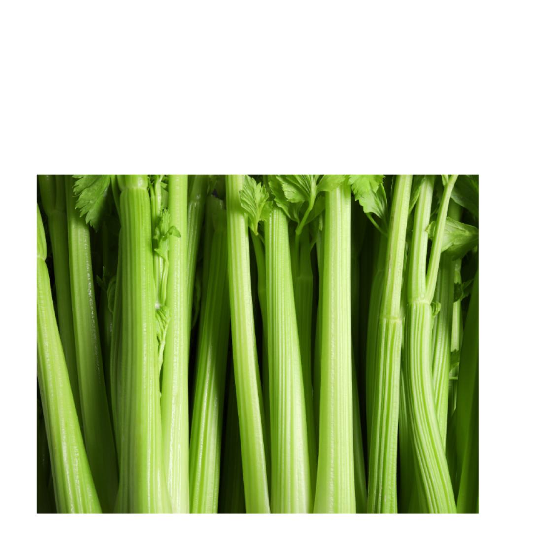 Celery 900 x 900 1