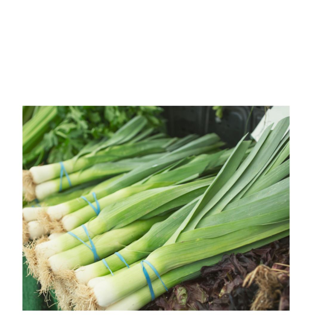 Leeks 900 x 900 1