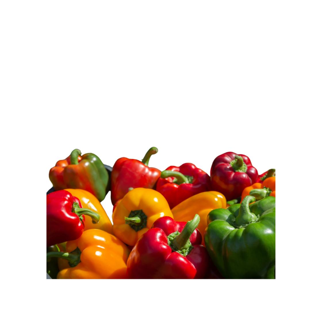 Peppers 900 x 900 2