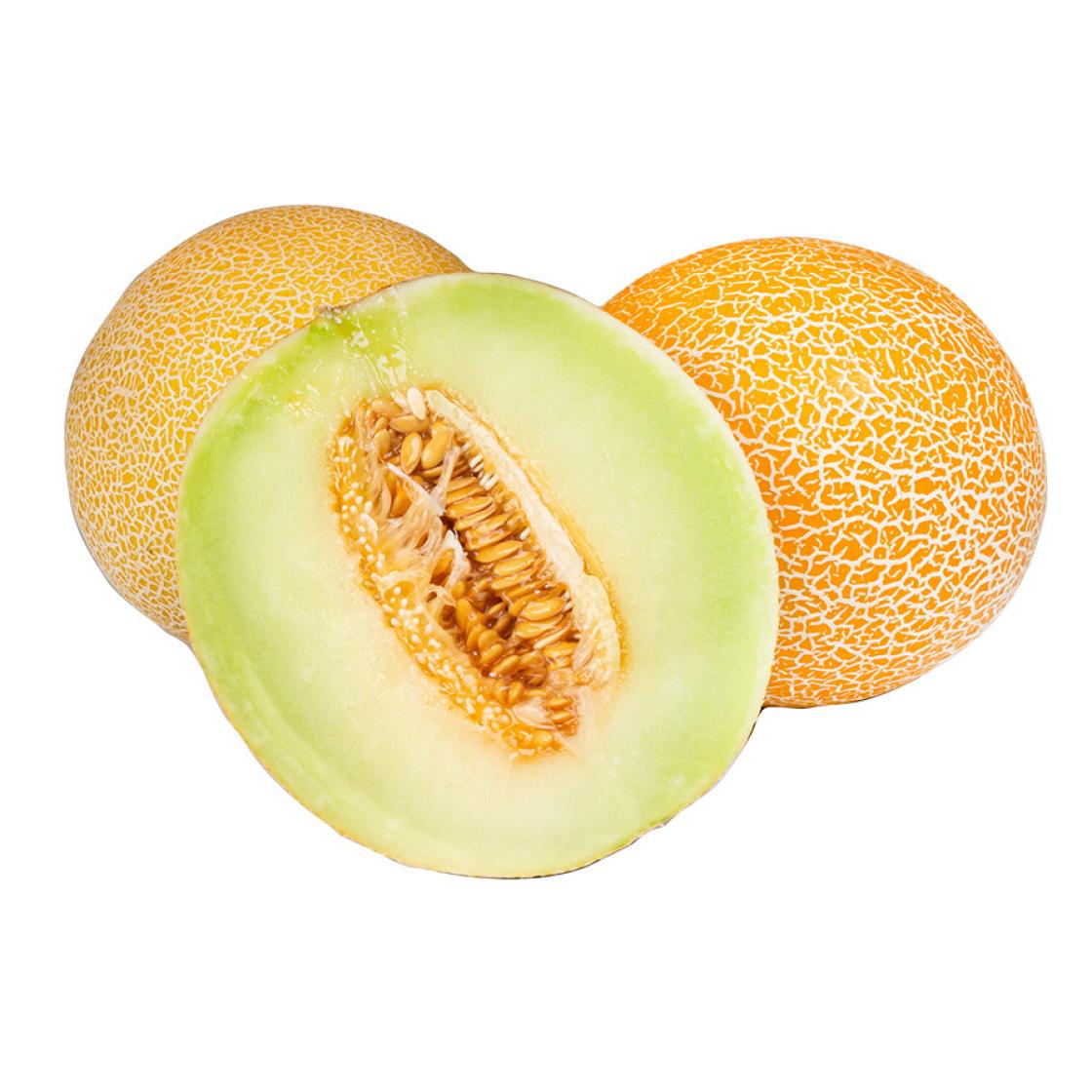 Galia melon 900x900px