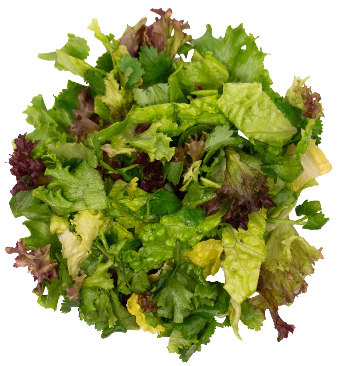 Herbmix Koriander 45