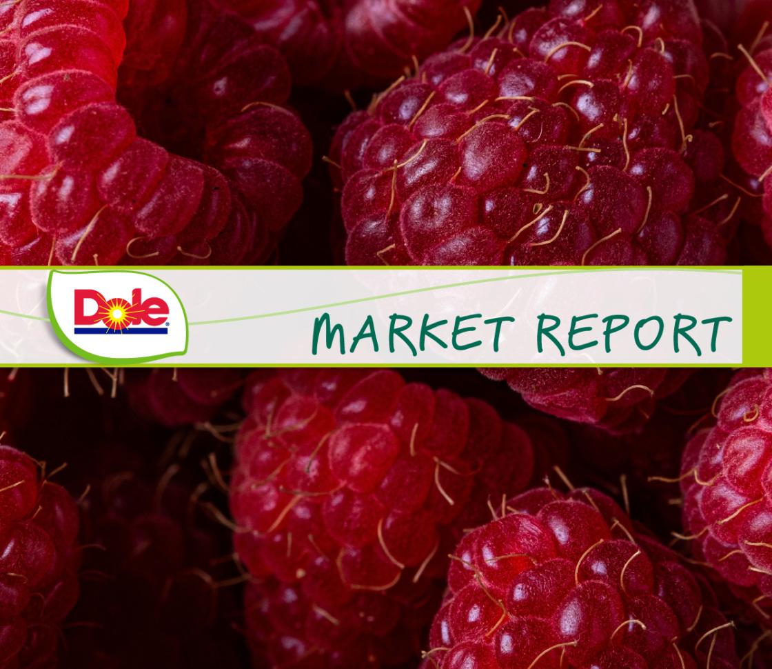 Market Report Thumbnail