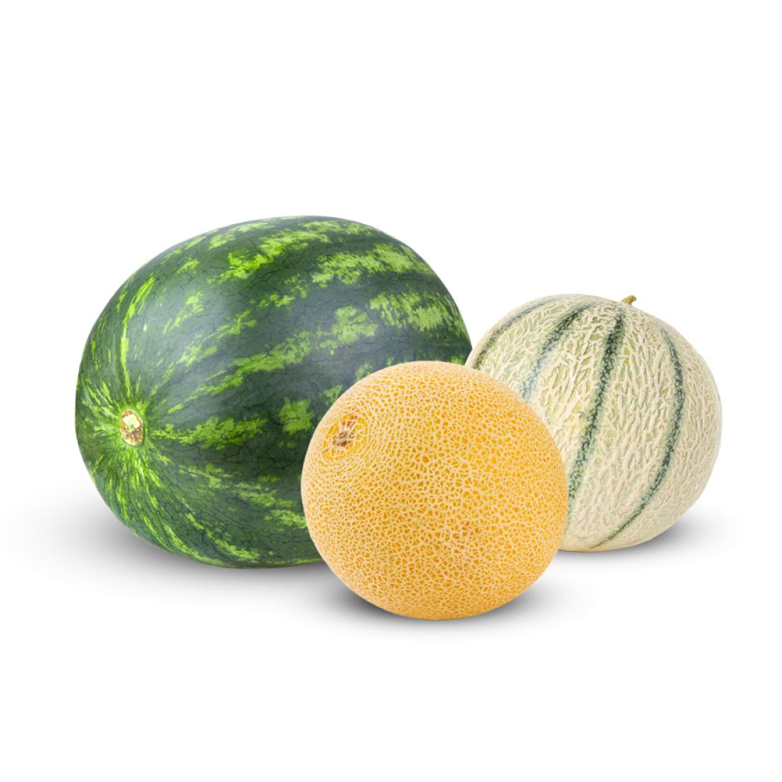 Melon web