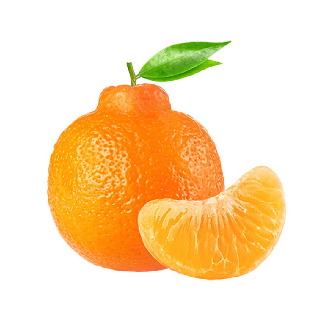 Minneola 900x900px