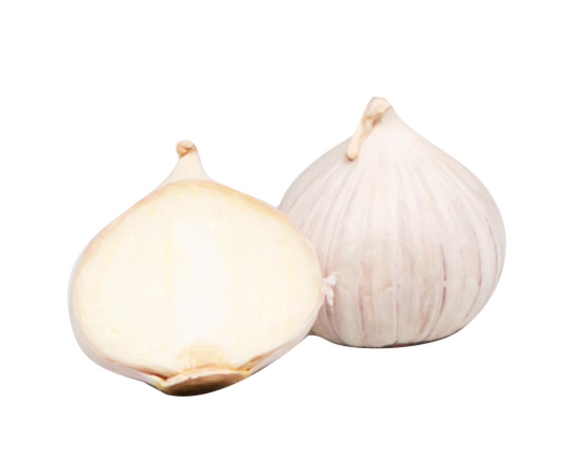 PLU4826 104525 lök vitlök solo heldelad