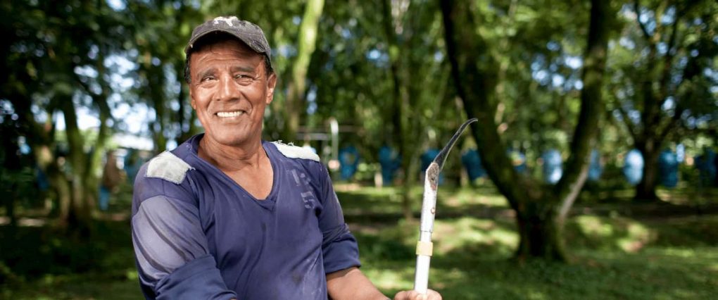 Farm hero costa rica zurqui