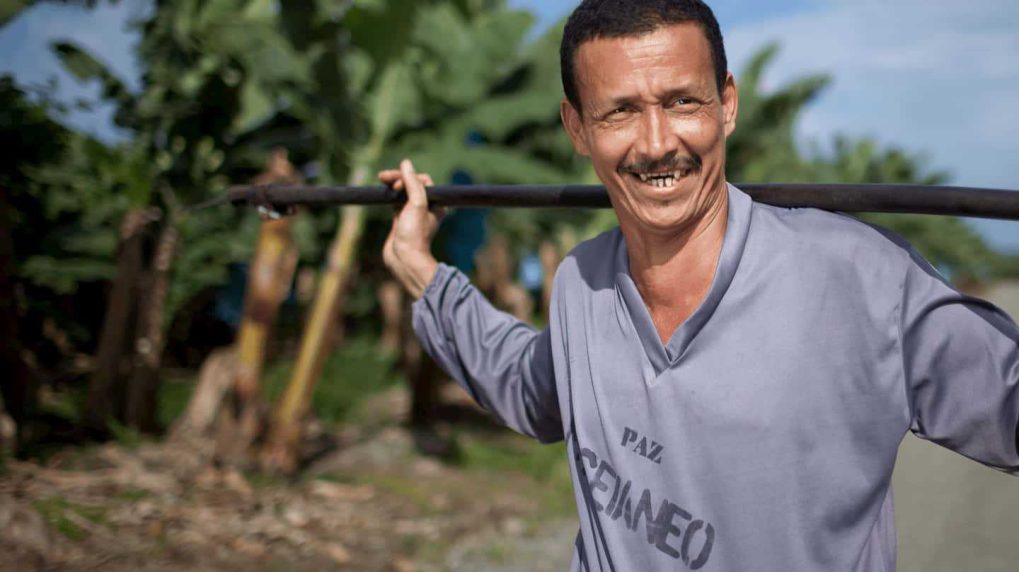 Farm hero colombia EU banana