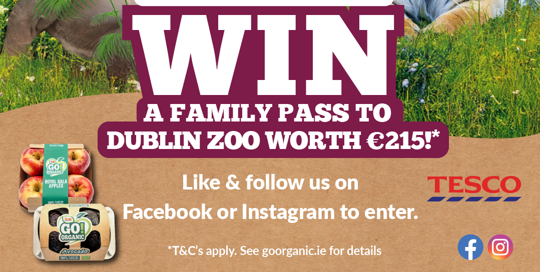 Dublin Zoo Comp: October 2024 GO!