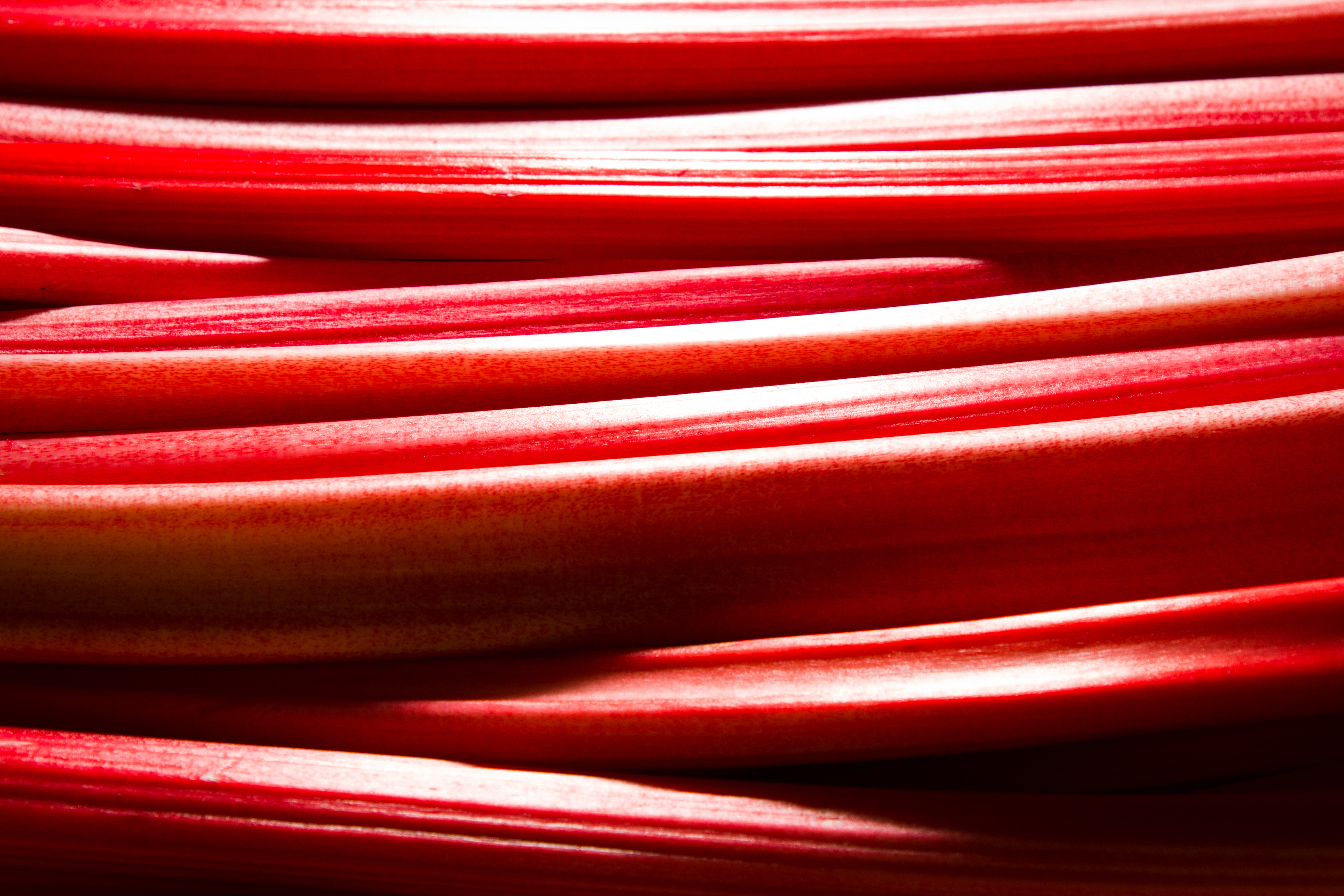 February 2026 Market Report