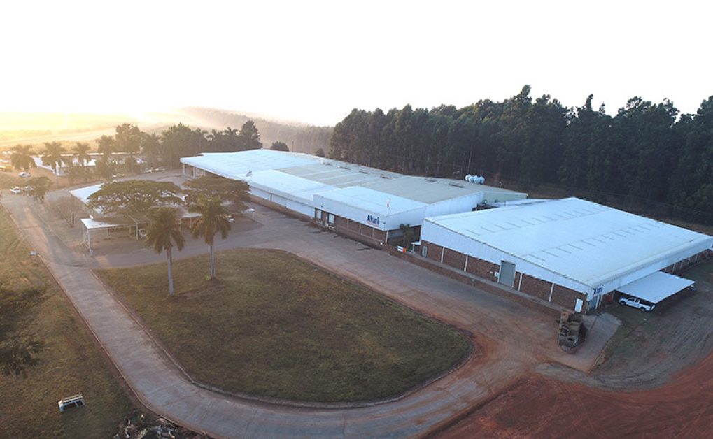 Aerial 3