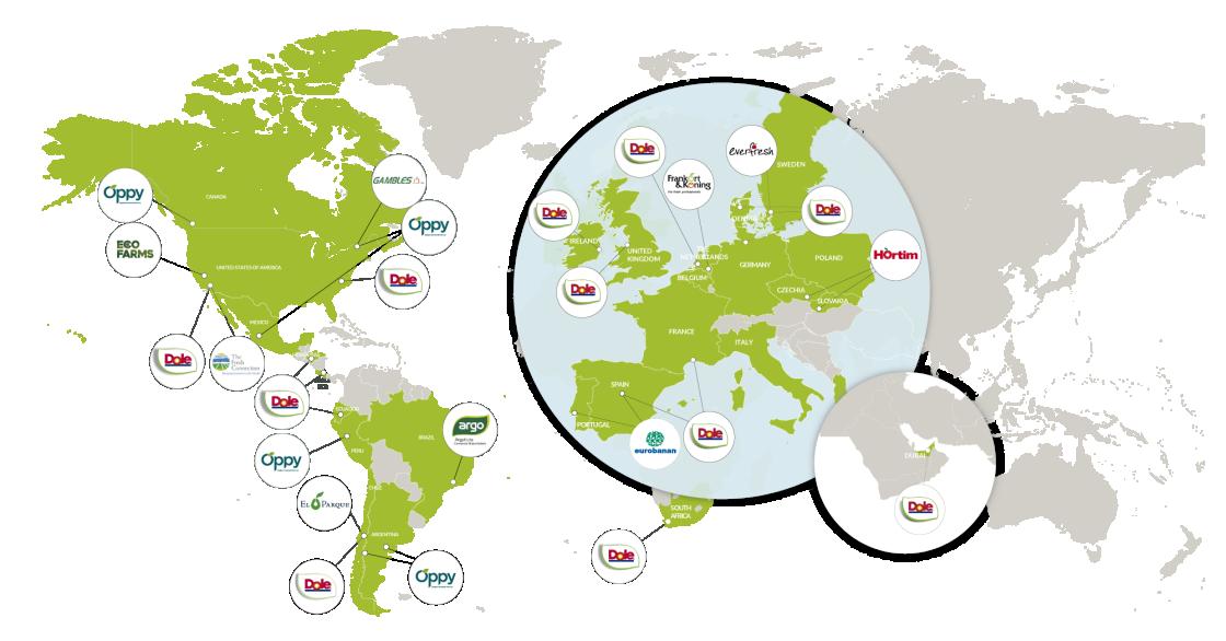 MAPA DOLE FERIA FRUIT 24