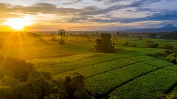 Apostamos por la agricultura de cercanía