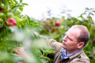 Meet some of our local growers