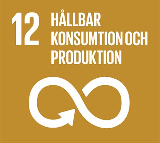 Hållbar konsumtion och produktion