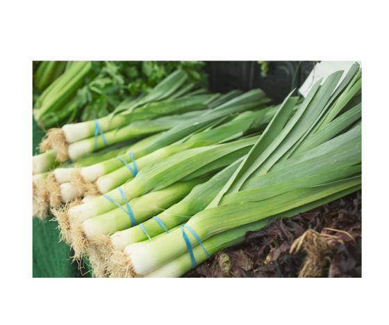 Leeks 1080 x 900