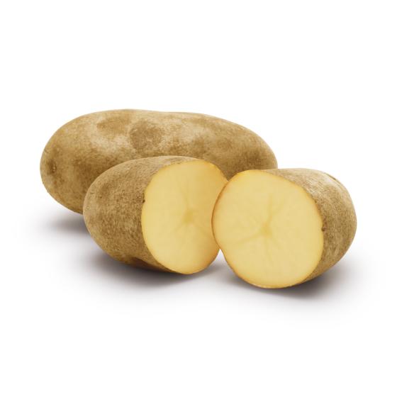 Cut Russet Potato