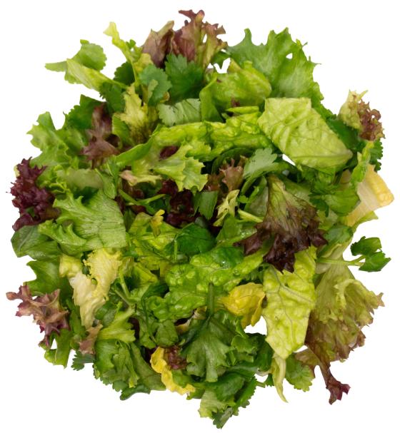 Herbmix Koriander 45