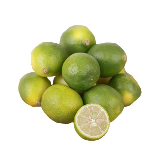 Limequat 900x900px