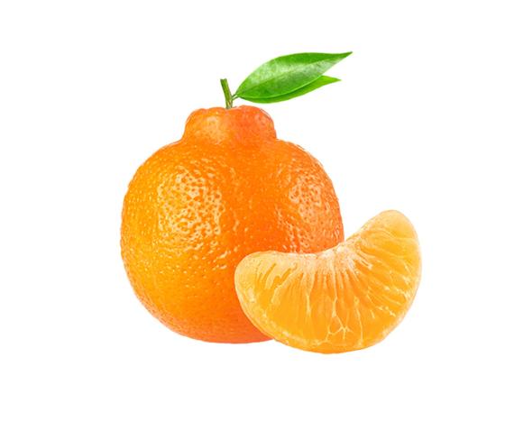 Minneola 1080x900px