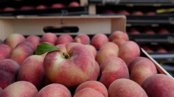 Peaches Flat Spain 1