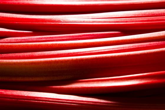 Rhubarb 2