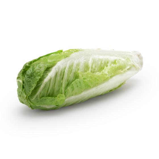 Romaine Hearts