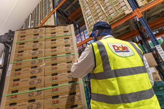 Spalding pallet 2