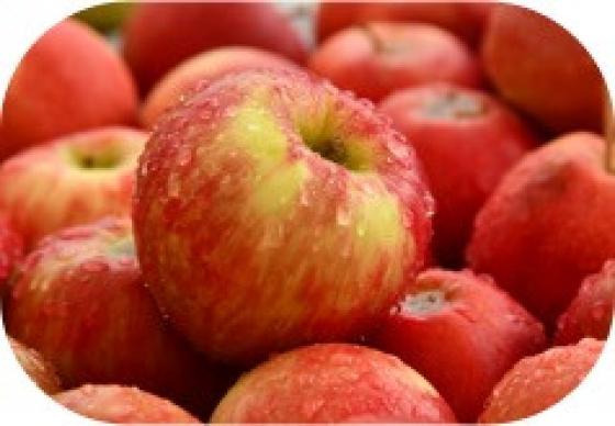Apples