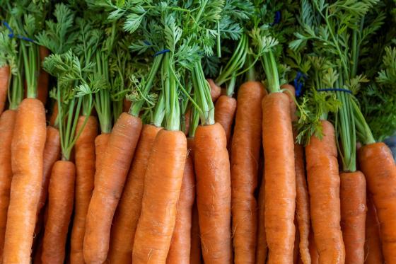 Carrots local