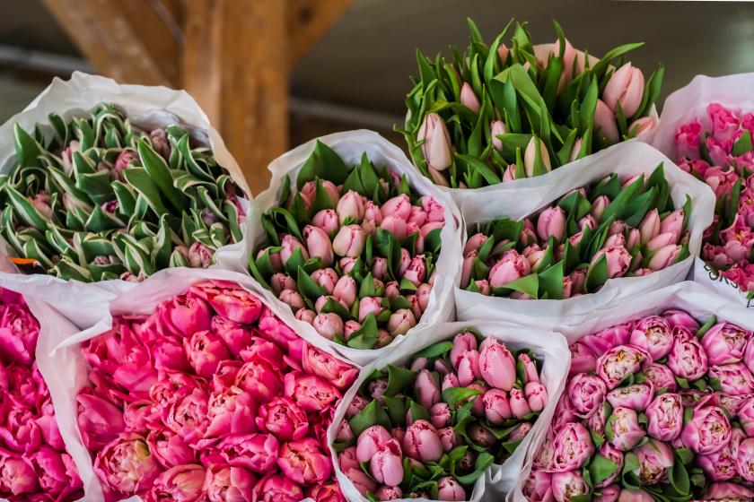 Flower bunch