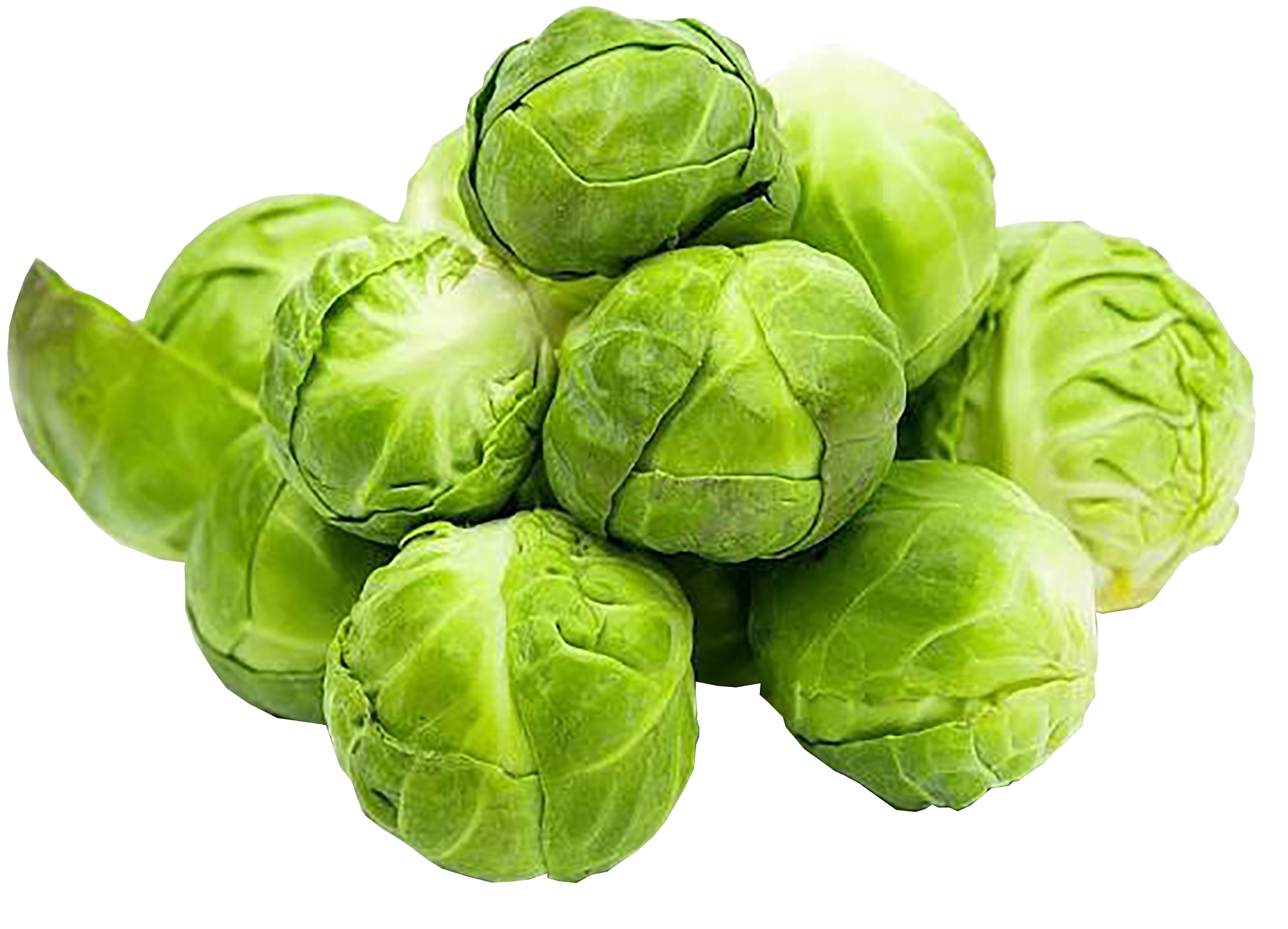 December 2025 Market Report