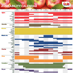 Global Availability Calendar